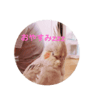 すず♂toろこ♀①（個別スタンプ：2）