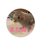 すず♂toろこ♀①（個別スタンプ：3）