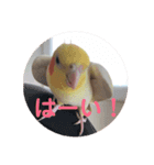 すず♂toろこ♀①（個別スタンプ：4）