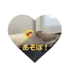 すず♂toろこ♀①（個別スタンプ：5）