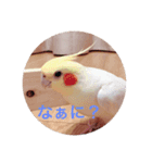 すず♂toろこ♀①（個別スタンプ：6）