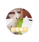 すず♂toろこ♀①（個別スタンプ：7）