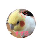 すず♂toろこ♀①（個別スタンプ：8）