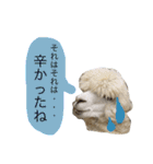 アルパカの結構使えるスタンプ③（個別スタンプ：9）