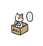 おそうじ猫（個別スタンプ：16）