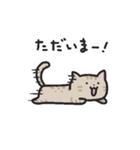 テオちゃんの日常（個別スタンプ：1）