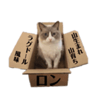 半純血のプリンスRONさん2（個別スタンプ：12）
