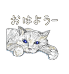 いつもいつでも 6（個別スタンプ：1）
