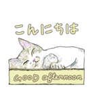 いつもいつでも 6（個別スタンプ：3）