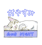 いつもいつでも 6（個別スタンプ：5）