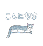 いつもいつでも 6（個別スタンプ：6）