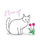 いつもいつでも 6（個別スタンプ：8）