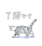いつもいつでも 6（個別スタンプ：13）