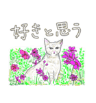 いつもいつでも 6（個別スタンプ：17）