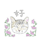 いつもいつでも 6（個別スタンプ：18）