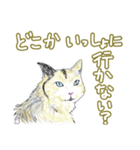 いつもいつでも 6（個別スタンプ：20）