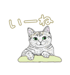 いつもいつでも 6（個別スタンプ：21）