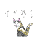 いつもいつでも 6（個別スタンプ：22）