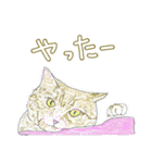 いつもいつでも 6（個別スタンプ：23）