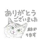いつもいつでも 6（個別スタンプ：28）