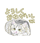 いつもいつでも 6（個別スタンプ：30）