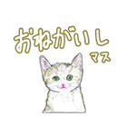 いつもいつでも 6（個別スタンプ：31）