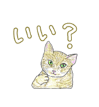 いつもいつでも 6（個別スタンプ：32）