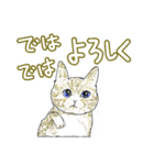 いつもいつでも 6（個別スタンプ：33）