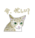 いつもいつでも 6（個別スタンプ：34）