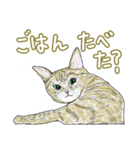 いつもいつでも 6（個別スタンプ：35）