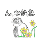 いつもいつでも 6（個別スタンプ：36）