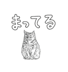 いつもいつでも 6（個別スタンプ：37）