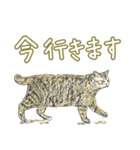 いつもいつでも 6（個別スタンプ：38）