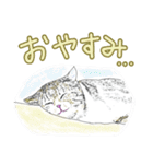 いつもいつでも 6（個別スタンプ：39）