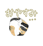 いつもいつでも 6（個別スタンプ：40）