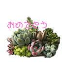 多肉植物ダイスキ（個別スタンプ：8）