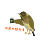 ほほえみフレンズ！野鳥大好き大集合（個別スタンプ：1）