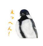 ほほえみフレンズ！野鳥大好き大集合（個別スタンプ：2）