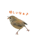 ほほえみフレンズ！野鳥大好き大集合（個別スタンプ：14）