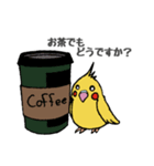 ことりLife〜オカメインコ〜（個別スタンプ：1）