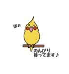 ことりLife〜オカメインコ〜（個別スタンプ：2）