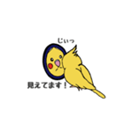 ことりLife〜オカメインコ〜（個別スタンプ：6）
