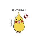 ことりLife〜オカメインコ〜（個別スタンプ：8）