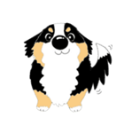 わんこ 犬 バーニーズとゴールデン（個別スタンプ：1）