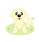 わんこ 犬 バーニーズとゴールデン（個別スタンプ：2）