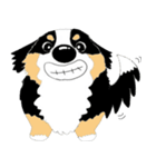 わんこ 犬 バーニーズとゴールデン（個別スタンプ：3）