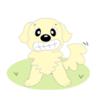わんこ 犬 バーニーズとゴールデン（個別スタンプ：4）