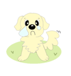 わんこ 犬 バーニーズとゴールデン（個別スタンプ：6）