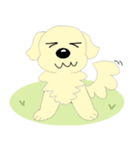 わんこ 犬 バーニーズとゴールデン（個別スタンプ：8）