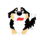 わんこ 犬 バーニーズとゴールデン（個別スタンプ：9）